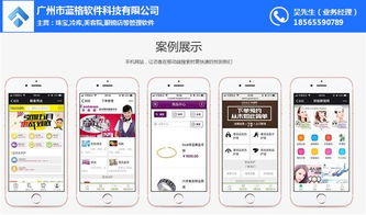 傲藍軟件 構建專業品牌營銷網站的價值與價格解析