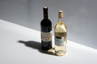 零酒精也能暢飲？探尋即飲型無酒精飲料的新風潮